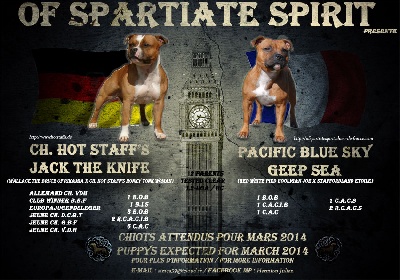 Of Spartiate Spirit - Mariage HOT STAFF'S CH. JACK THE KNIFE & PACIFIC BLUE SKY GEEP SEA