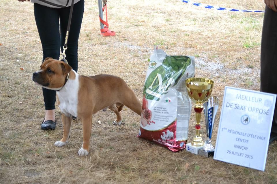 Of Spartiate Spirit - J. Spartacus Meilleur Jeune & BOS RE Nancay